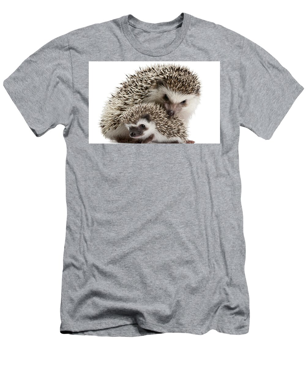 Hedgehog T-Shirt featuring the digital art Hedgehog by Maye Loeser