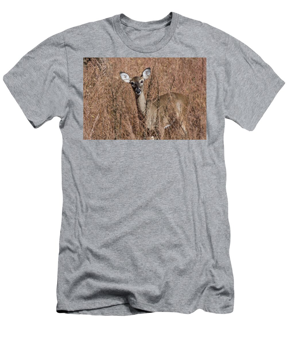 Wildlife T-Shirt featuring the photograph Hello by John Benedict