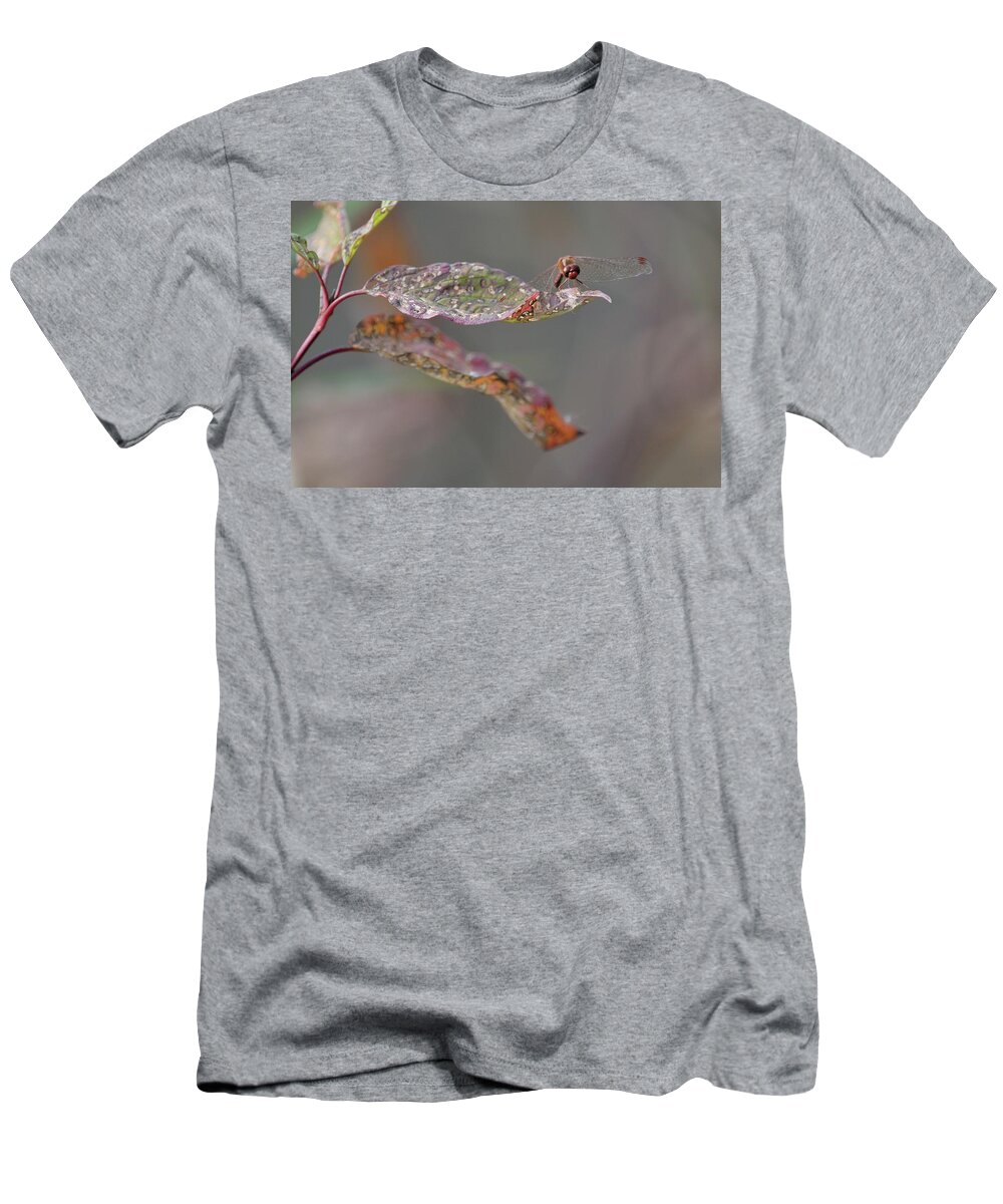 Outdoor T-Shirt featuring the photograph Here's lookin' at you- Dragonfly by David Porteus