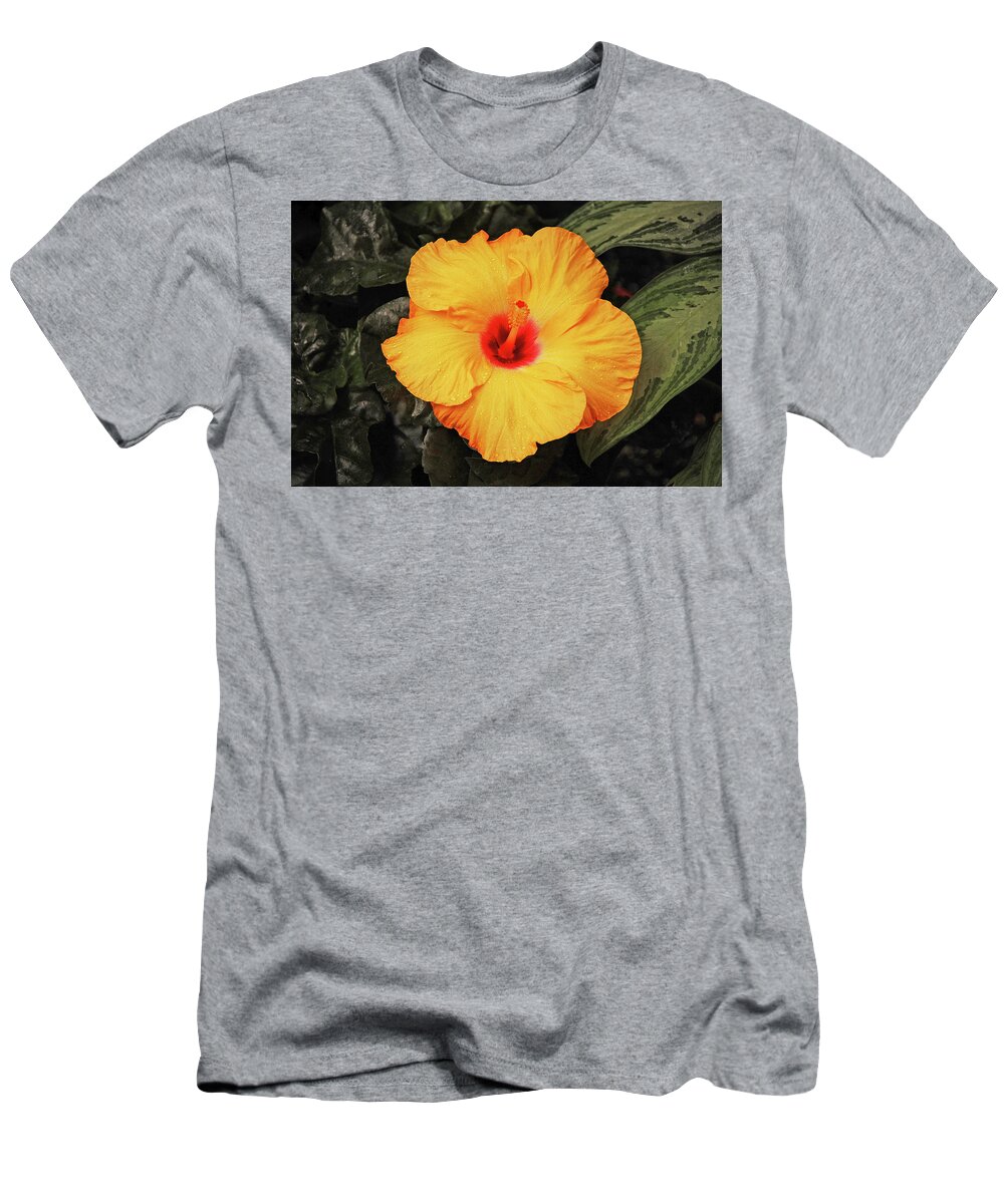 Hibiscus T-Shirt featuring the photograph Hibiscus flower by Ingrid Perlstrom