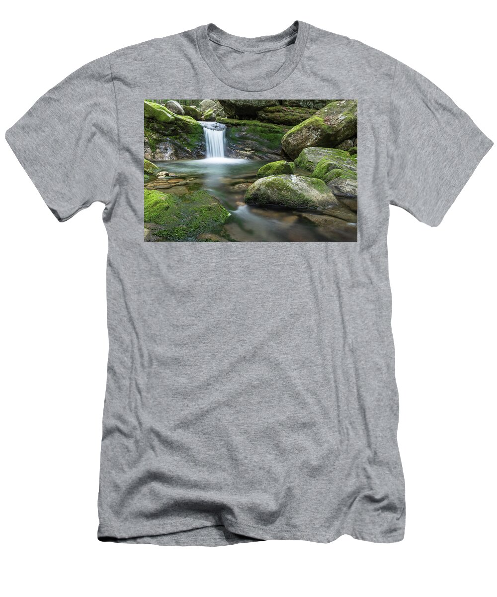 New Hampshire T-Shirt featuring the photograph Hidden Beauty by Colin Chase