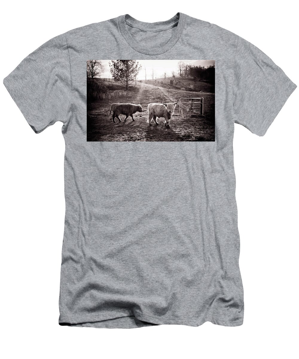 Highland Cattle T-Shirt featuring the photograph Highland Cattle by Cynthia Wolfe