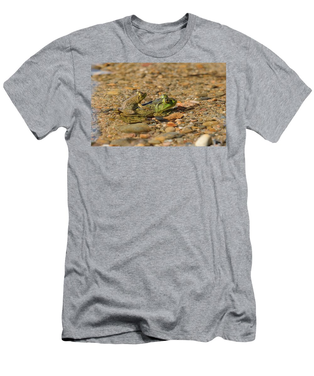 Frog.frogs T-Shirt featuring the photograph Hitchiing A Ride by Sue Capuano