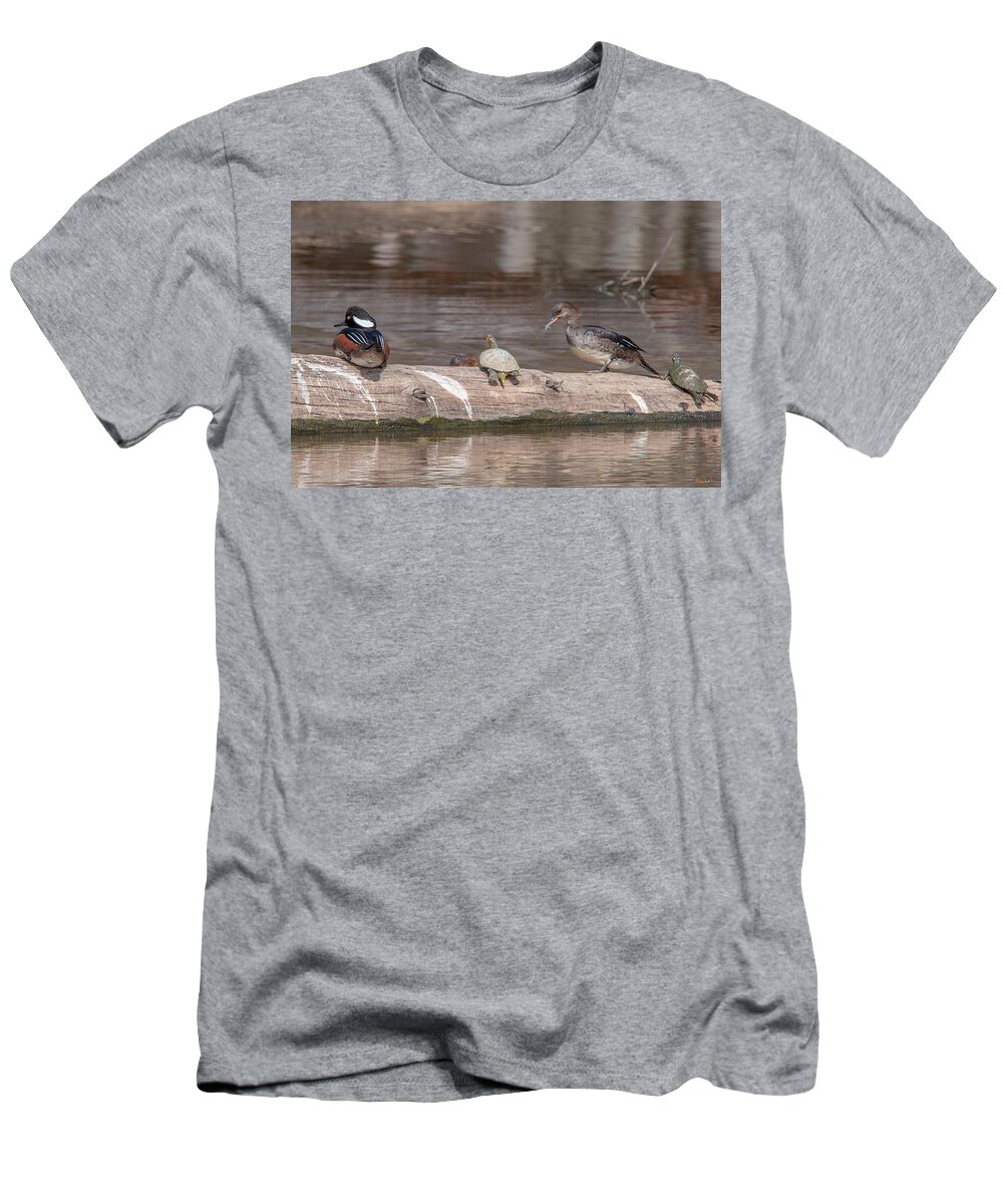 Nature T-Shirt featuring the photograph Hooded Merganser Pair Resting DWF0175 by Gerry Gantt