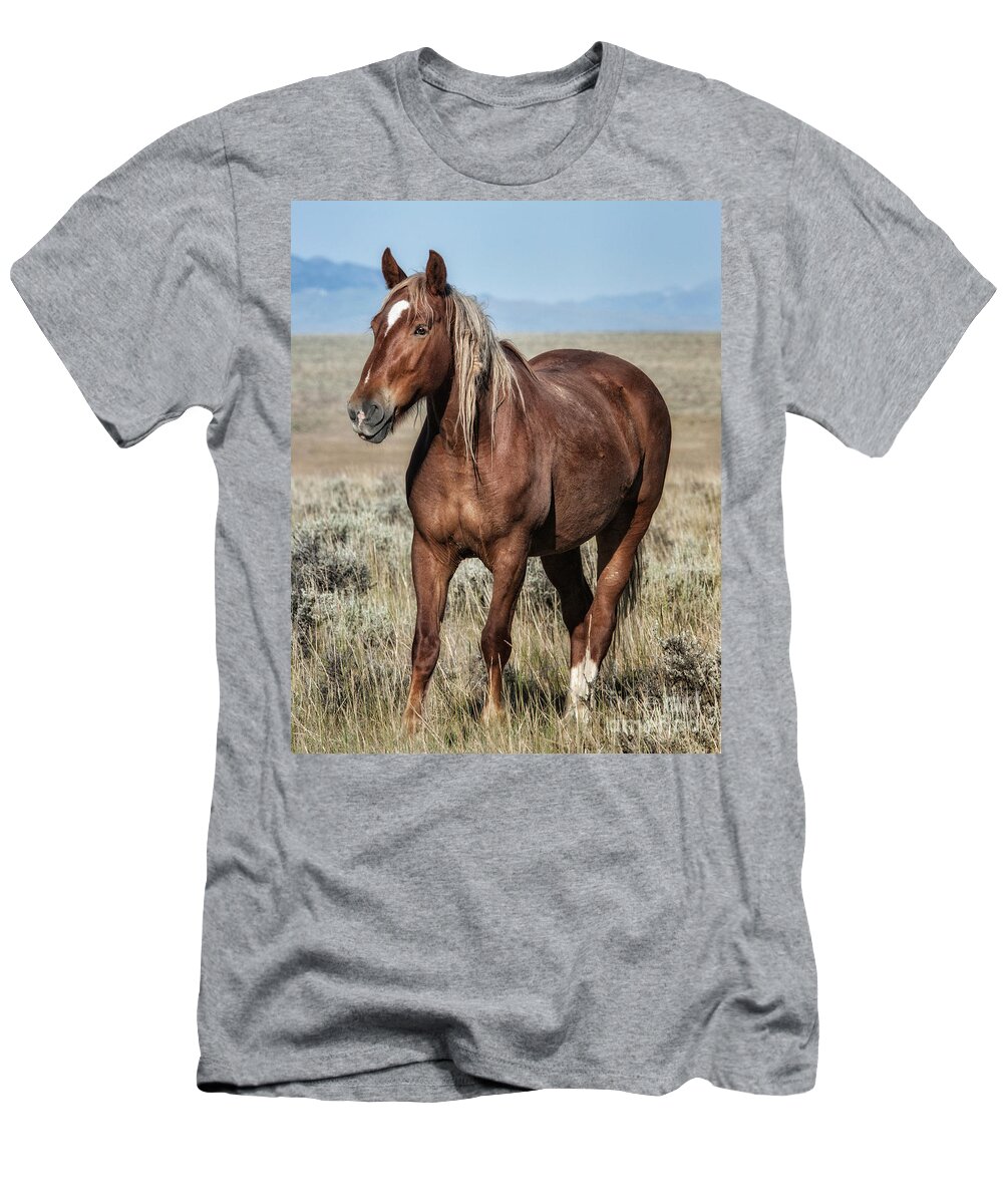 Wild Horse T-Shirt featuring the photograph Horse by Claudia Kuhn