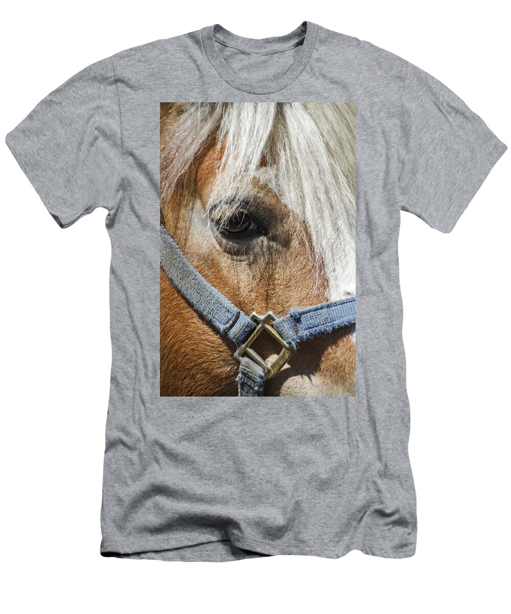 Horse T-Shirt featuring the photograph Horse Close Up by Bob Slitzan