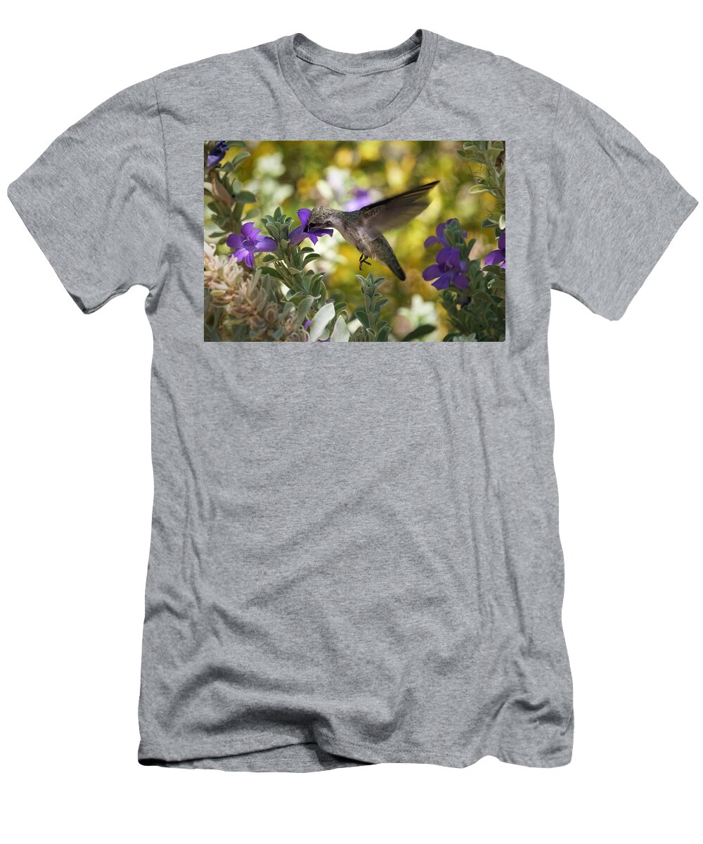 Hummingbird T-Shirt featuring the photograph Hover by Nelson Strong