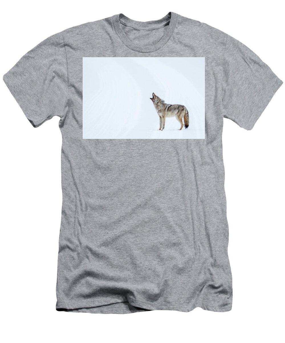 Snow T-Shirt featuring the photograph Howling Coyote - Yellowstone by Stuart Litoff