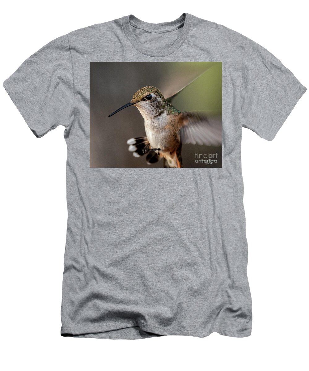 Natanson T-Shirt featuring the photograph Hummingbird at Dawn by Steven Natanson