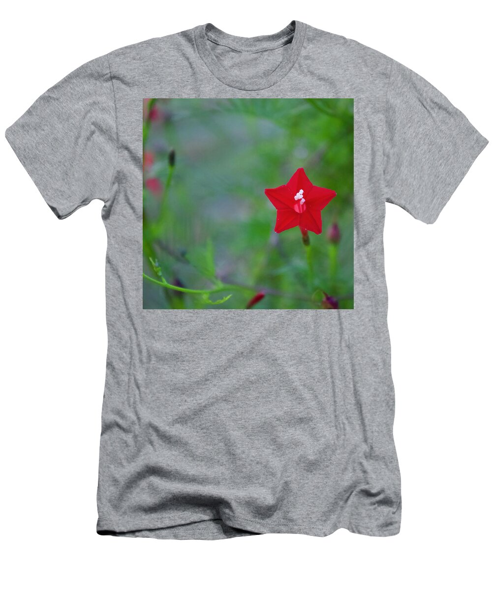 Photograph T-Shirt featuring the photograph Hummingbird Bait by M E