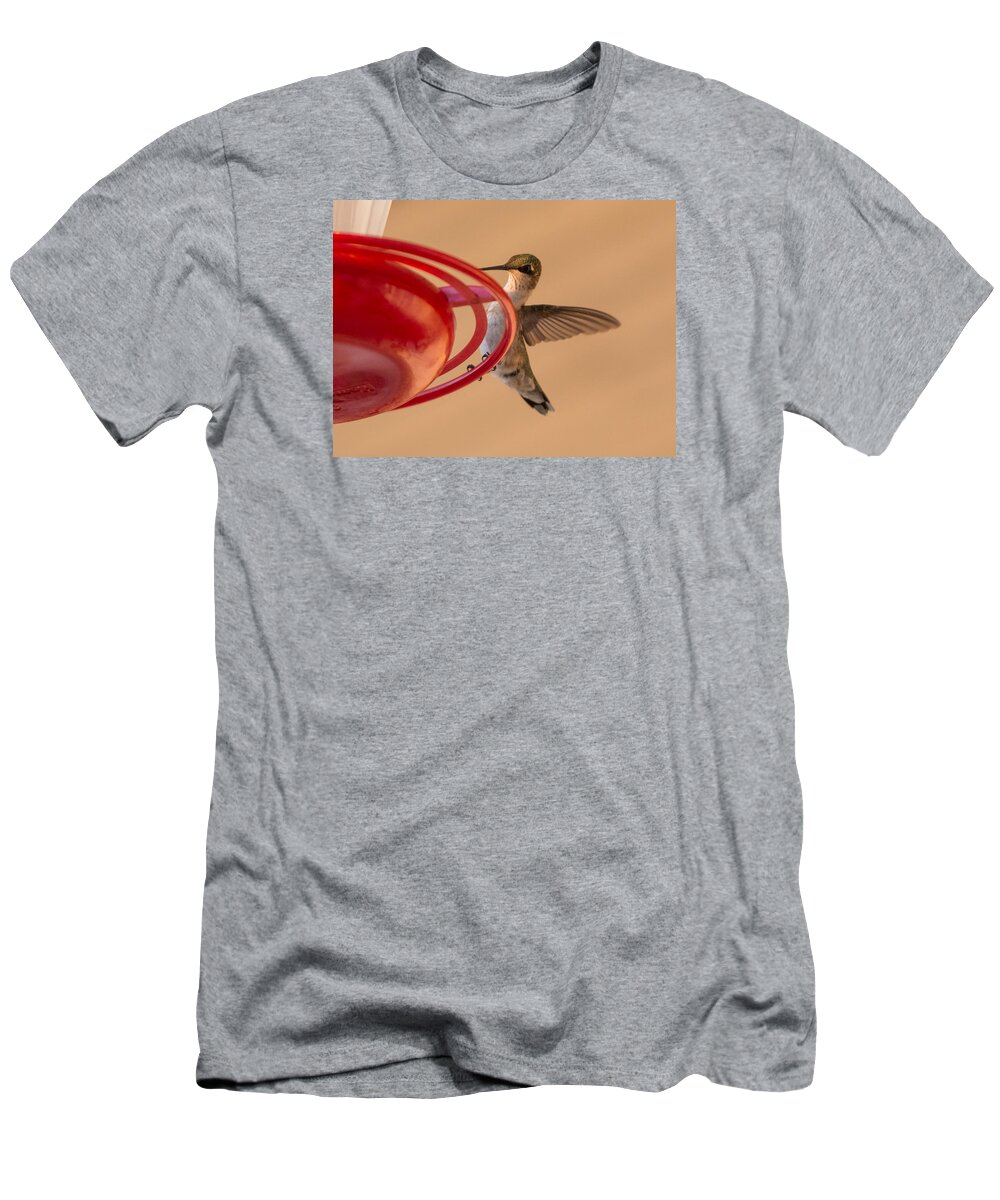 Hummingbird T-Shirt featuring the photograph Hummingbird Hello by Holden The Moment
