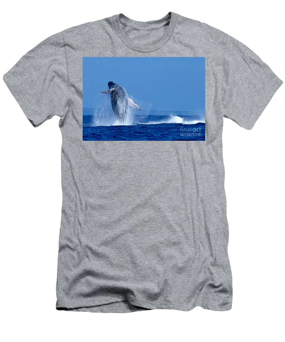 Animal Art T-Shirt featuring the photograph Humpback Whale Breaching by Ed Robinson - Printscapes