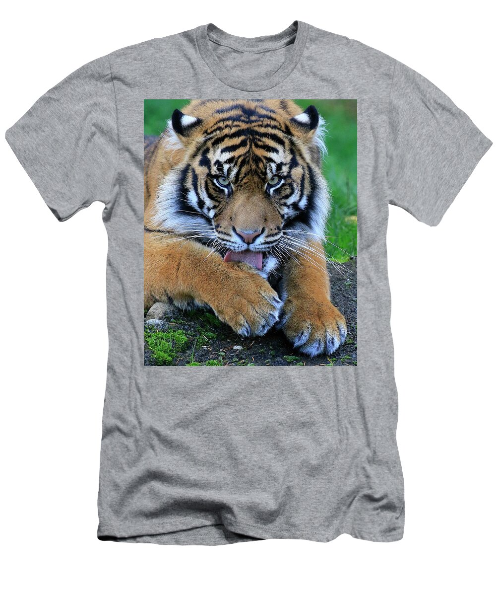 Tiger T-Shirt featuring the photograph Hunger by Steve McKinzie