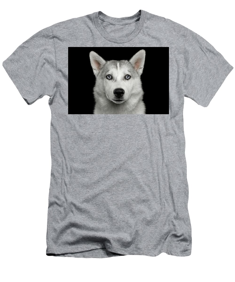 Dog T-Shirt featuring the photograph Husky puppy by Sergey Taran