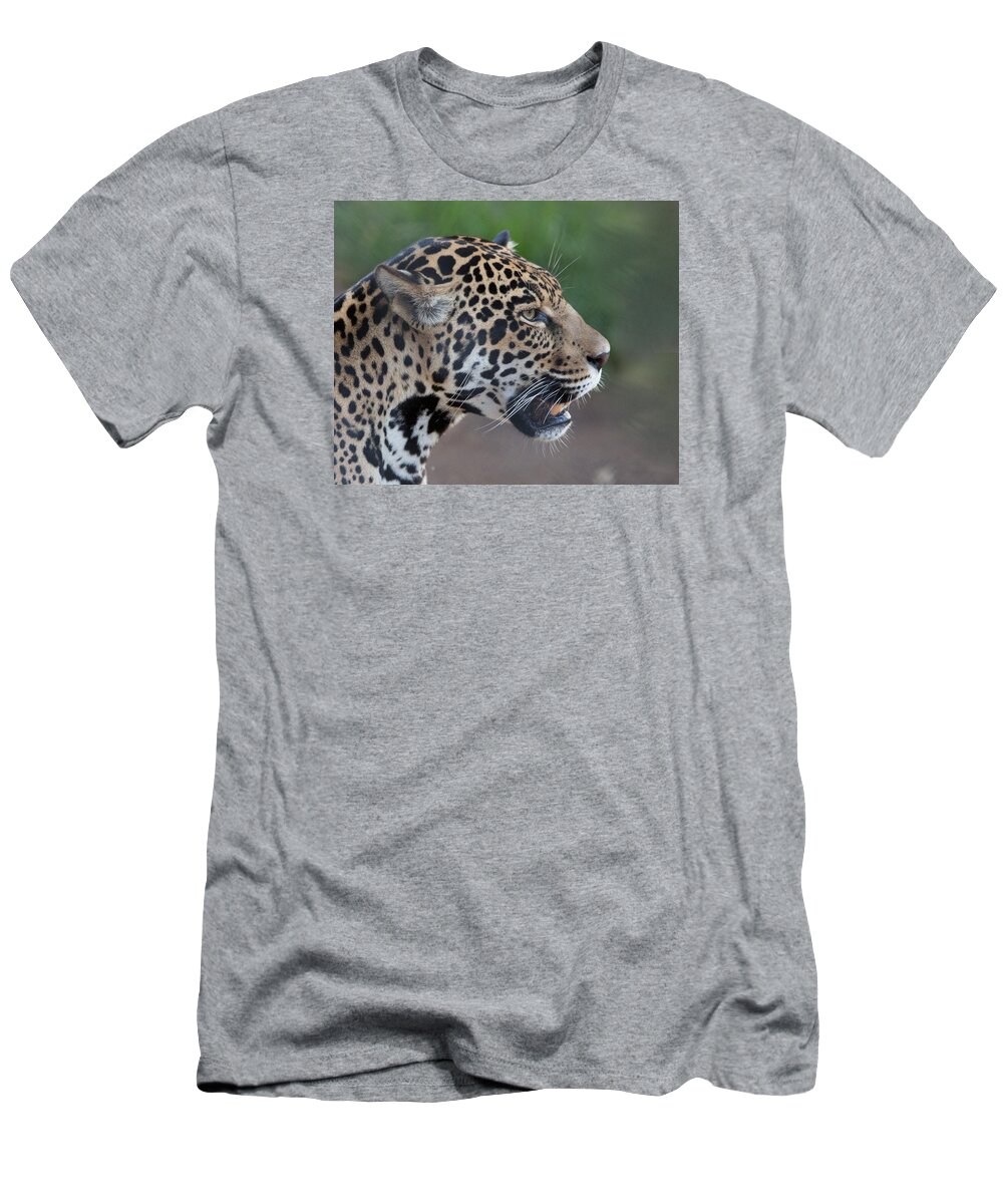 Tiger T-Shirt featuring the photograph I am not happy by Vance Bell