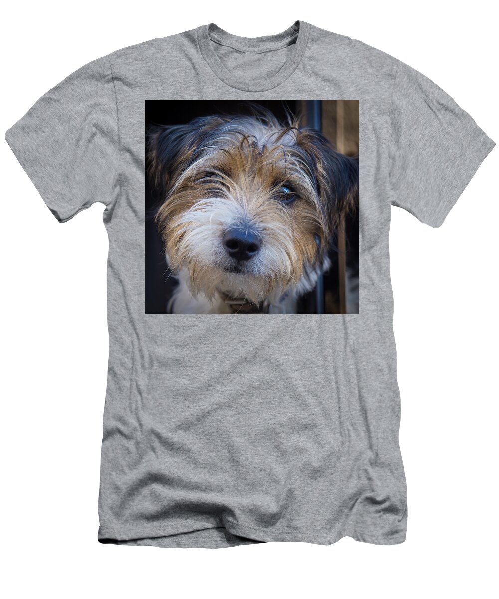 Canterbury T-Shirt featuring the photograph I Can See You by Doug Harman