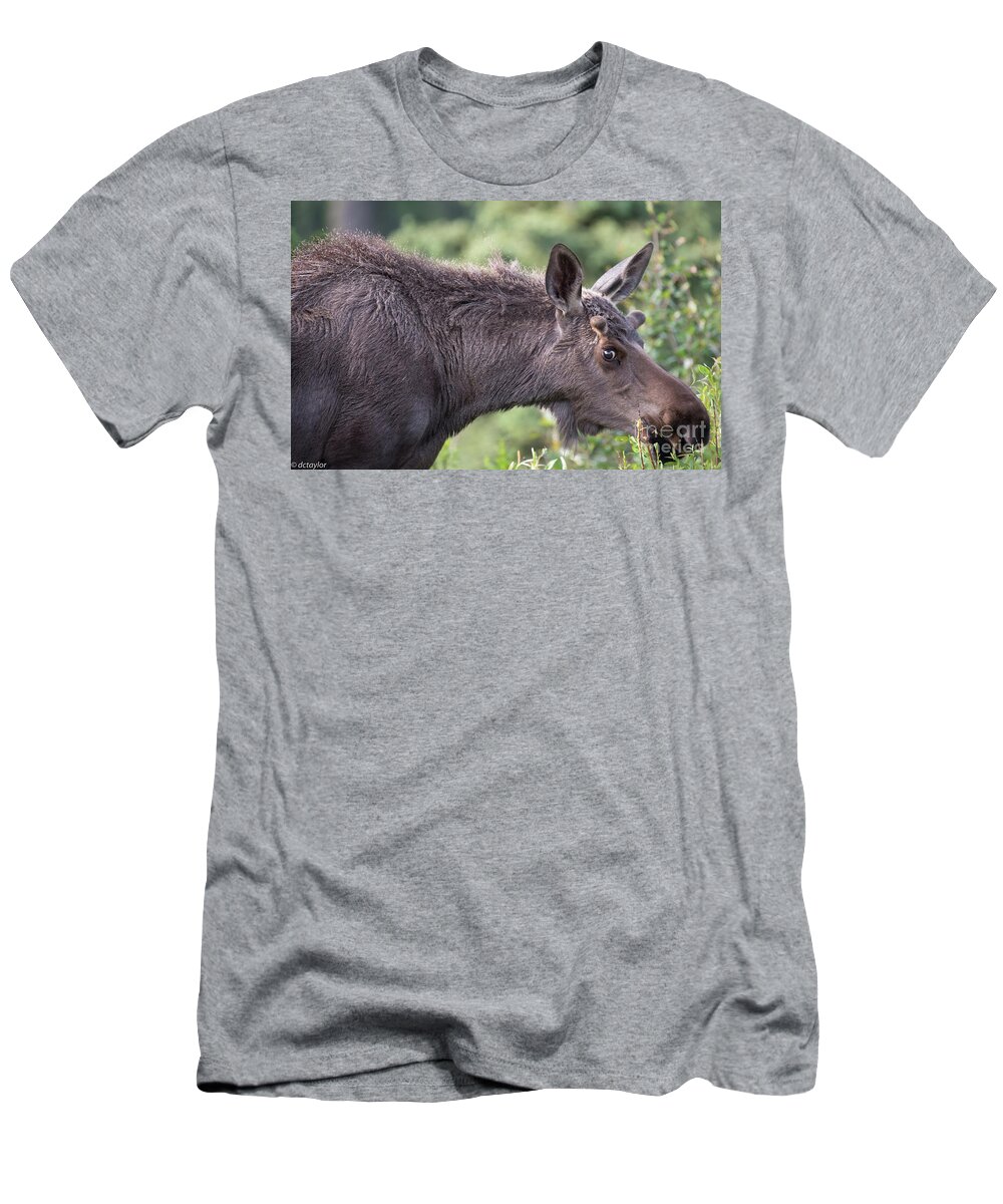 Moose T-Shirt featuring the photograph I See You Too by David Taylor