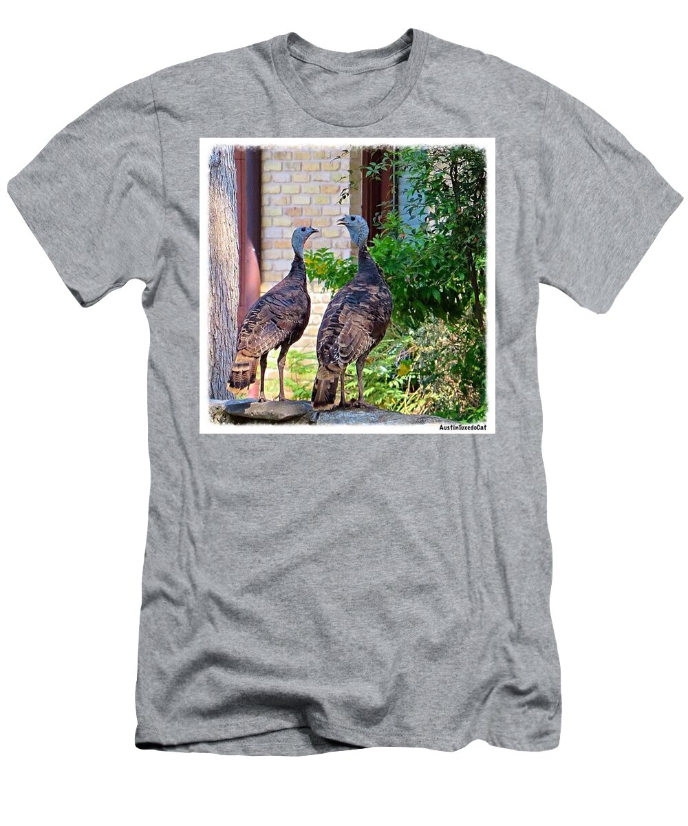 Instanaturelover T-Shirt featuring the photograph I Spotted Not Just These Two #wild by Austin Tuxedo Cat
