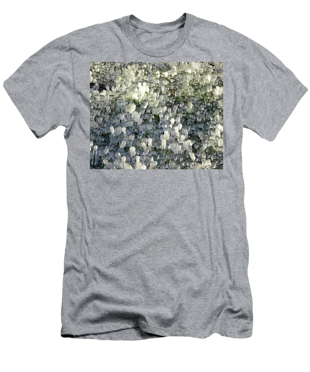 Nature T-Shirt featuring the photograph Ice on the Lawn by Harold Zimmer