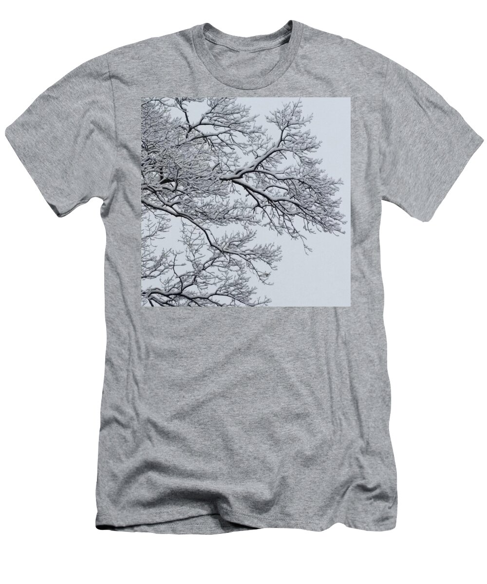 Ice T-Shirt featuring the photograph Icey Winter Branch by Vic Ritchey