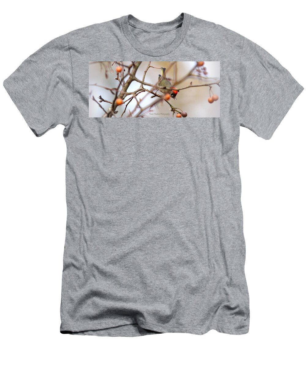 Ruby-crowned Kinglet T-Shirt featuring the photograph IMG_4370-007 - Ruby-crowned Kinglet by Travis Truelove