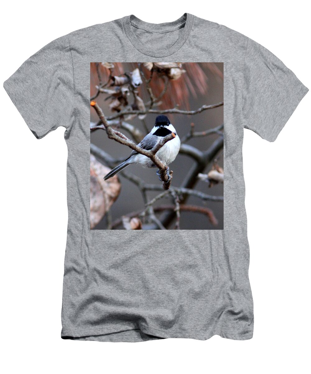 Carolina Chickadee T-Shirt featuring the photograph IMG_4414 - Carolina Chickadee by Travis Truelove