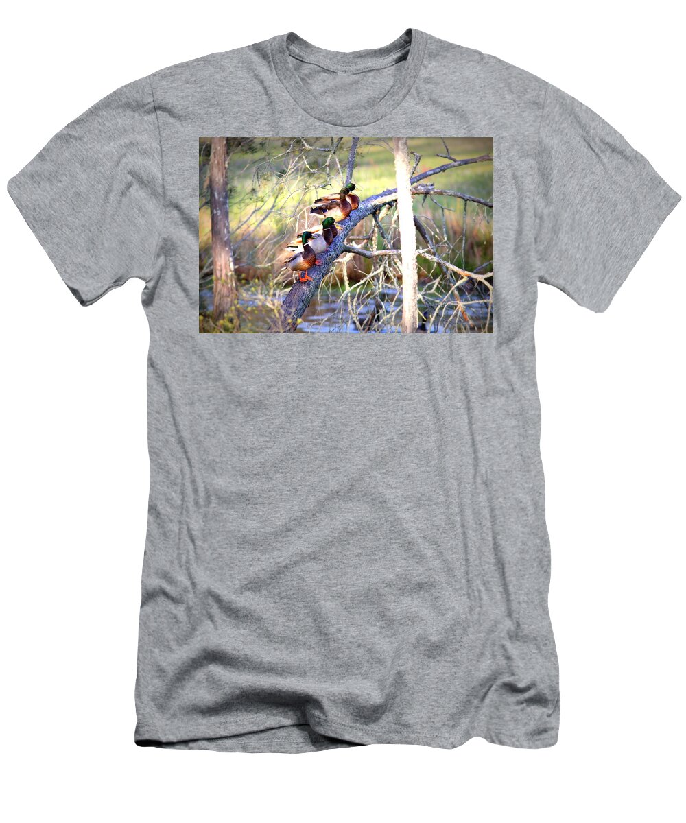 Mallard T-Shirt featuring the photograph IMG_8884-002 - Mallard by Travis Truelove