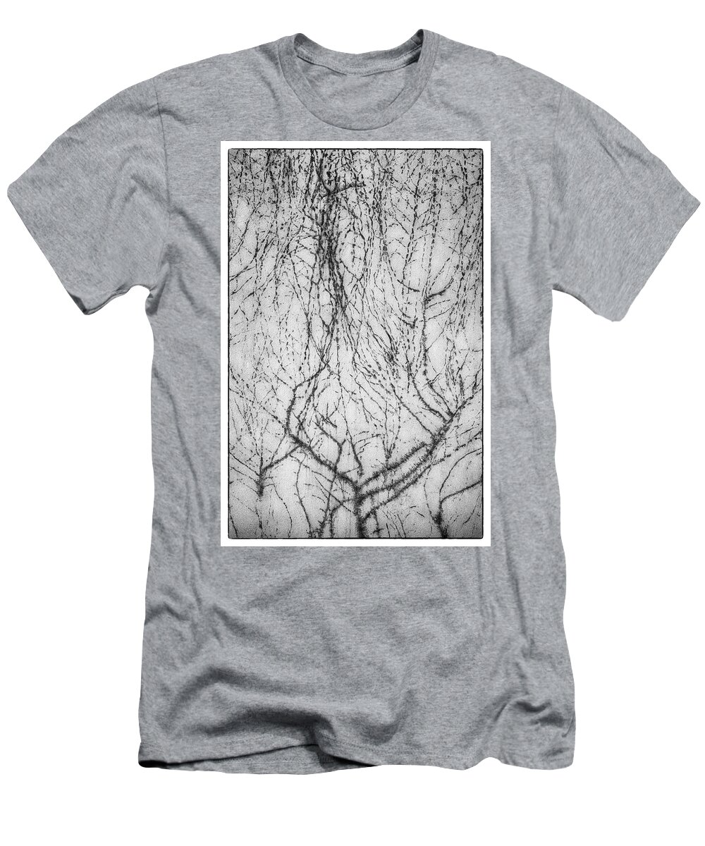 Abstract T-Shirt featuring the photograph Impressions by Hugh Smith