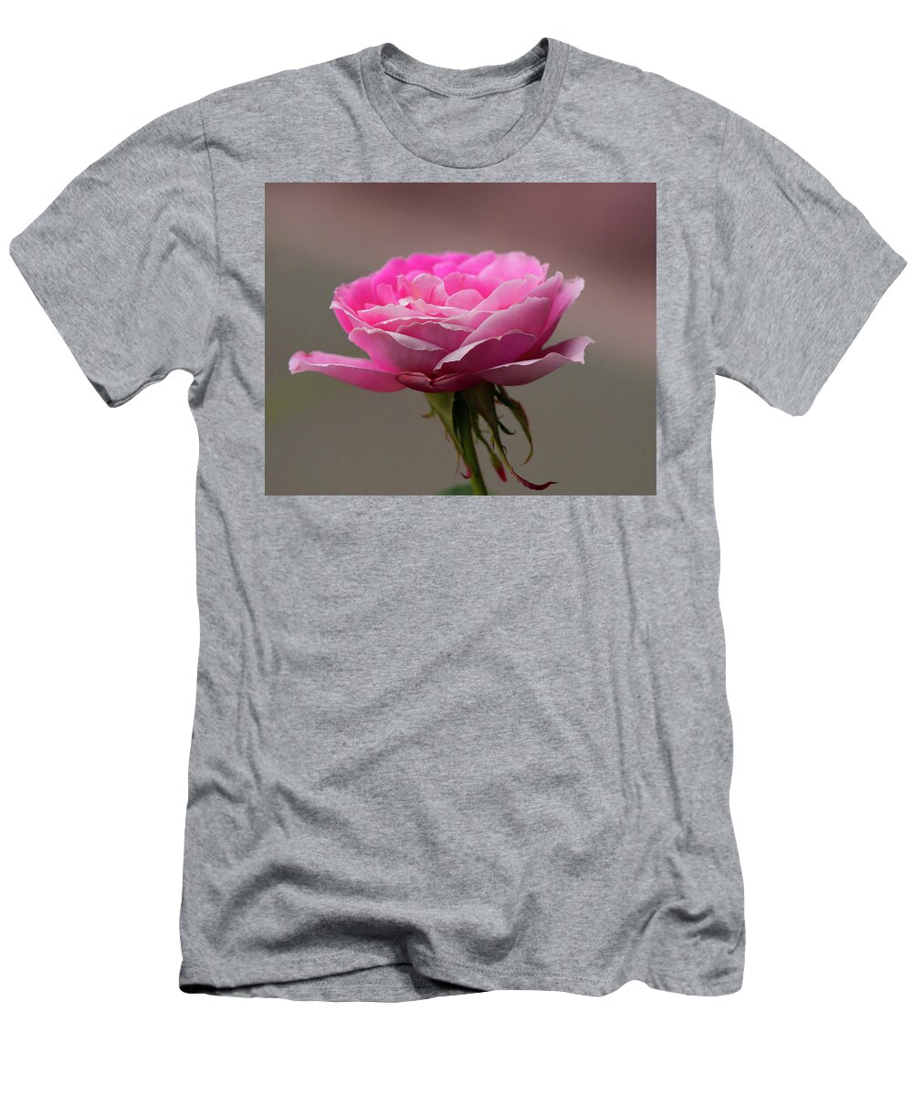 Rose T-Shirt featuring the photograph In The Mood Pink by Yeates Photography