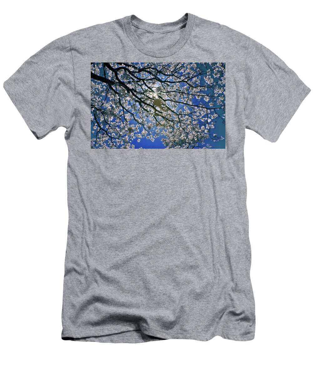 Infrared T-Shirt featuring the photograph Into the Sun by Linda Unger