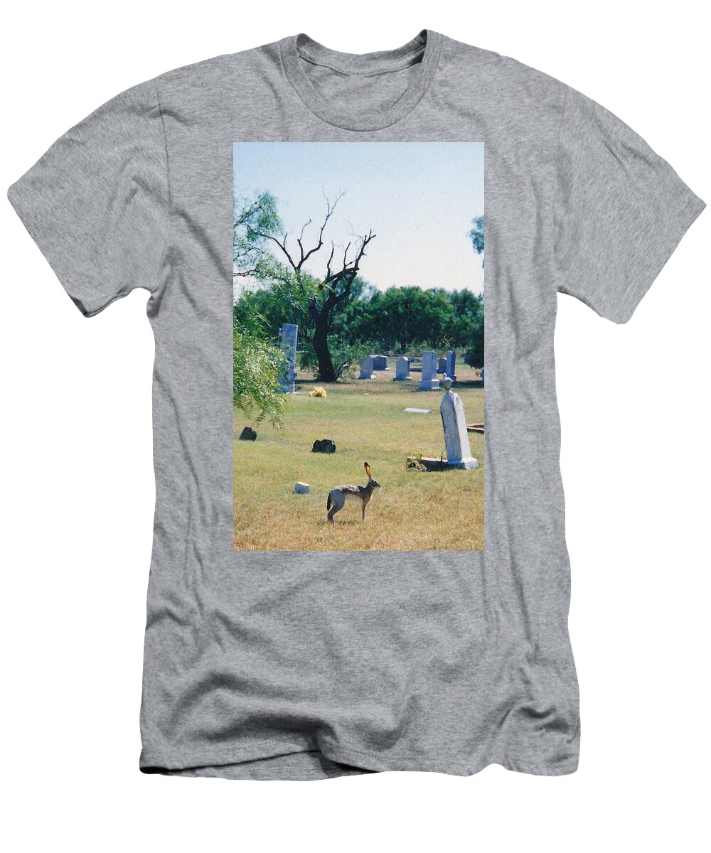 Rabbit Cementery Tombstones T-Shirt featuring the photograph Jack Rabbit in Cementery by Cindy New