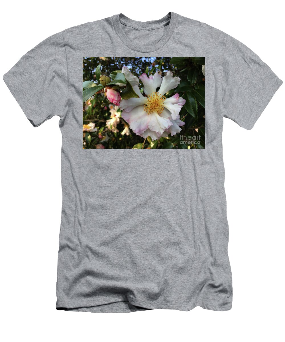 Pictures Of Flowers T-Shirt featuring the photograph January Beauty by Skip Willits
