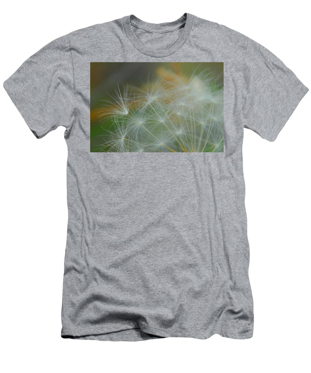 Dandelion T-Shirt featuring the photograph Just Dandy by Donna Blackhall