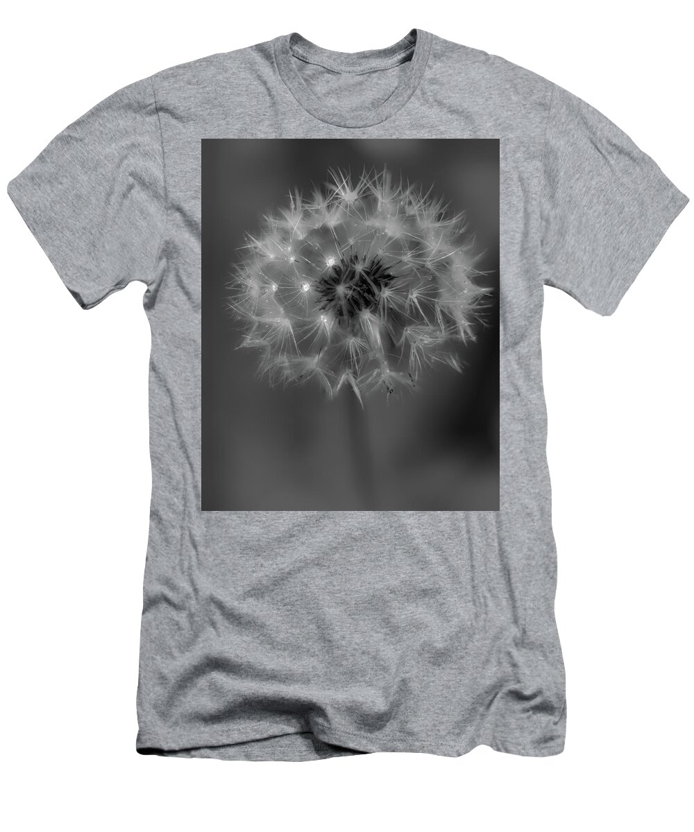 Dandelion T-Shirt featuring the photograph Just Dandy by Rod Best