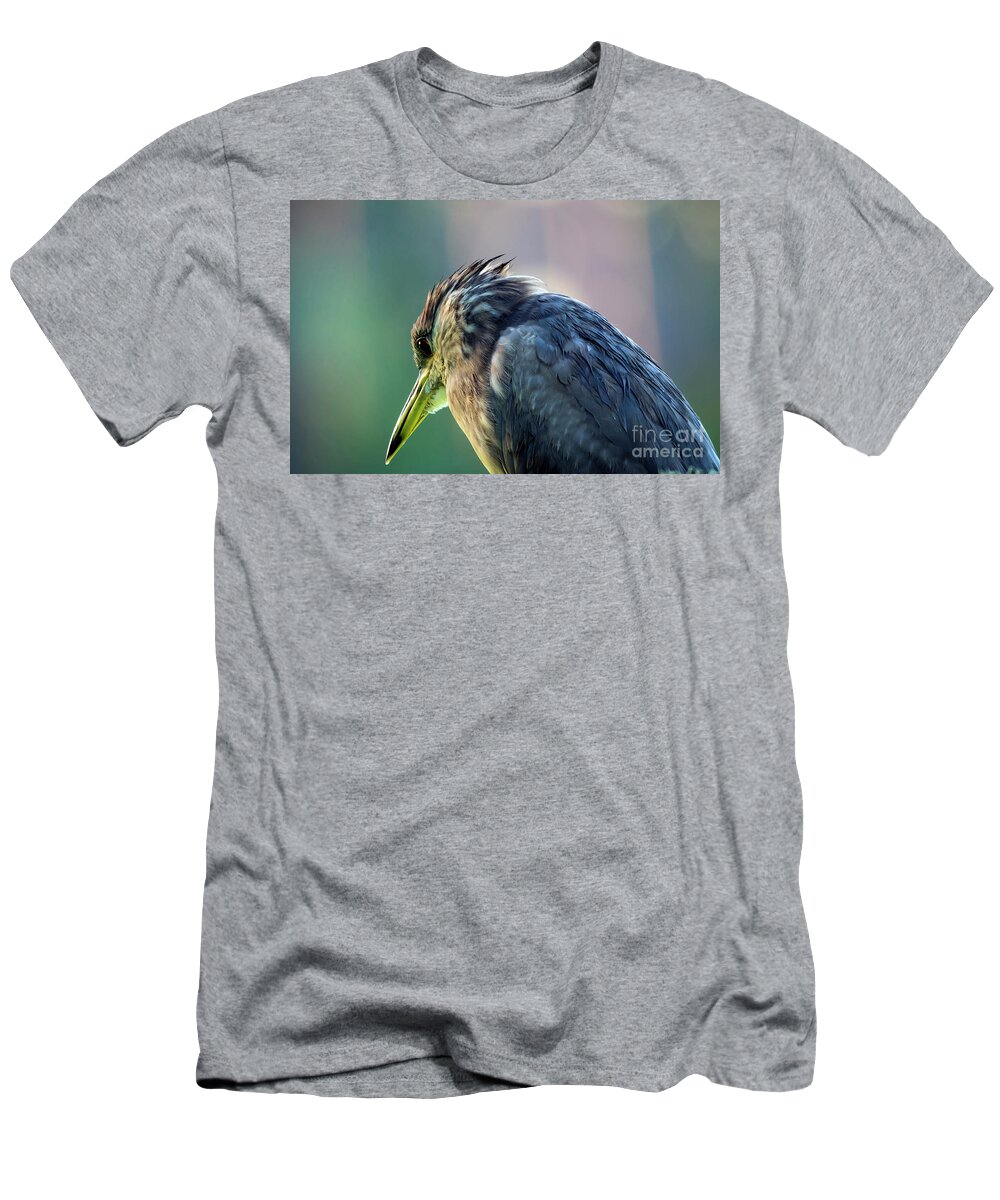 Nature T-Shirt featuring the photograph Juvenile Black Crowned Night Heron Lost in Deep Thoughts by DB Hayes