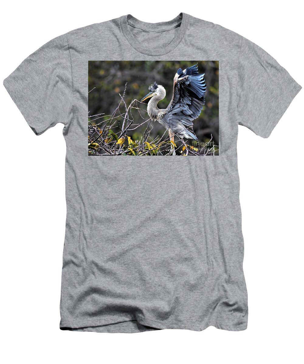 Immature Great Blue Heron T-Shirt featuring the photograph Juvenile Great Blue Heron by Julie Adair