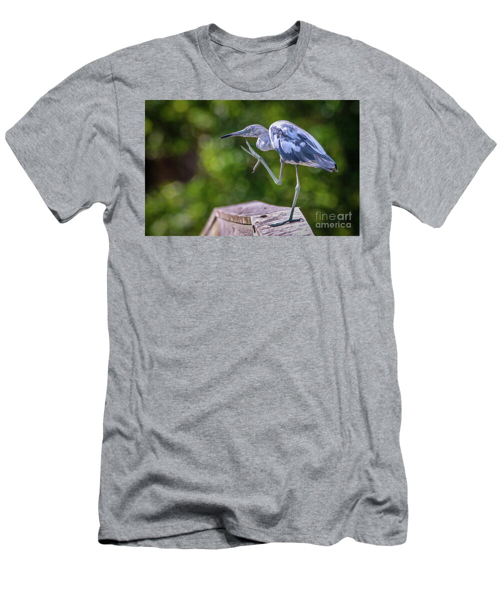 Heron T-Shirt featuring the photograph Juvenile Little Blue Heron by Tom Claud
