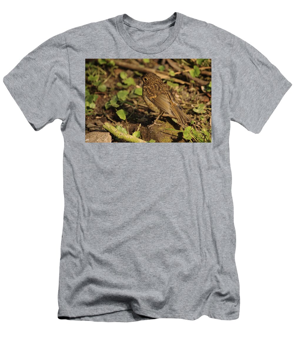 Bird T-Shirt featuring the photograph Juvenile Robin by Adrian Wale