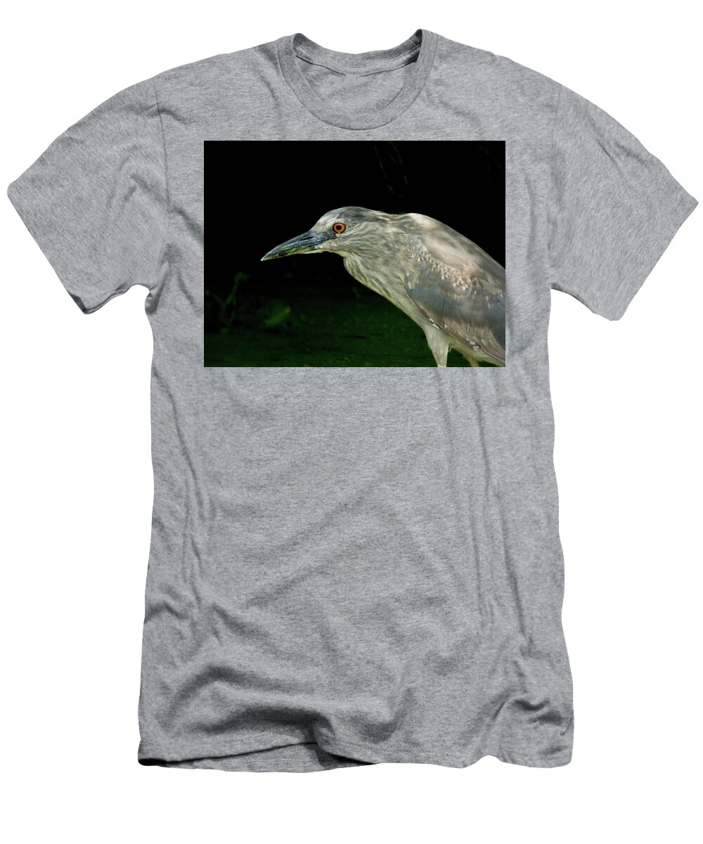 Orcinus Fotograffy T-Shirt featuring the photograph Juvey by Kimo Fernandez