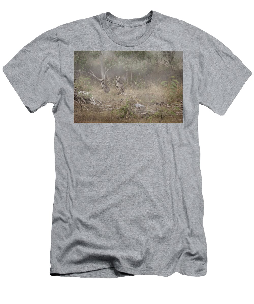 Kangaroos In The Mist T-Shirt by Az Jackson - Az Jackson - Artist Website