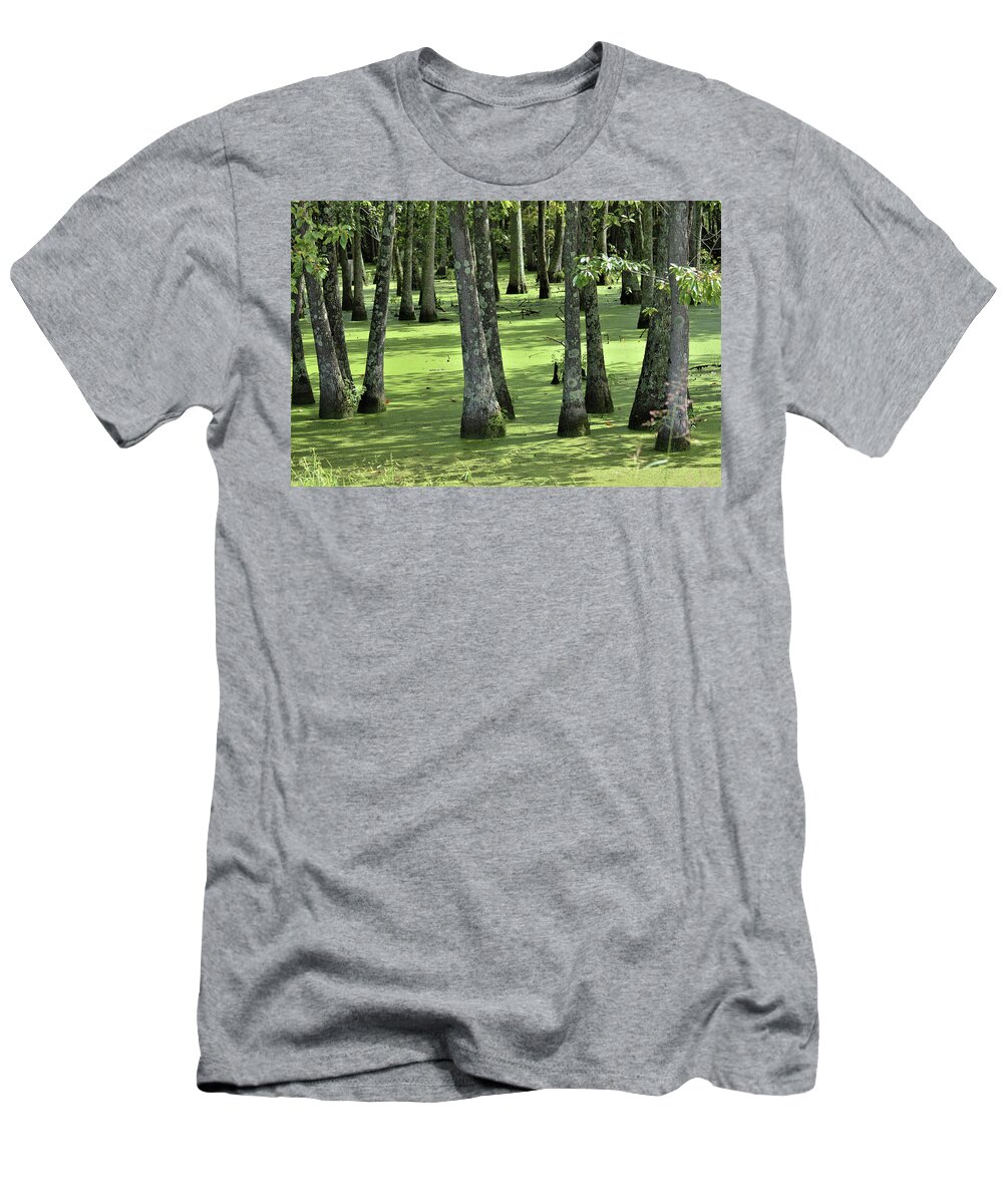 Hollow T-Shirt featuring the photograph Kentucky Swamp by Kathy Kelly