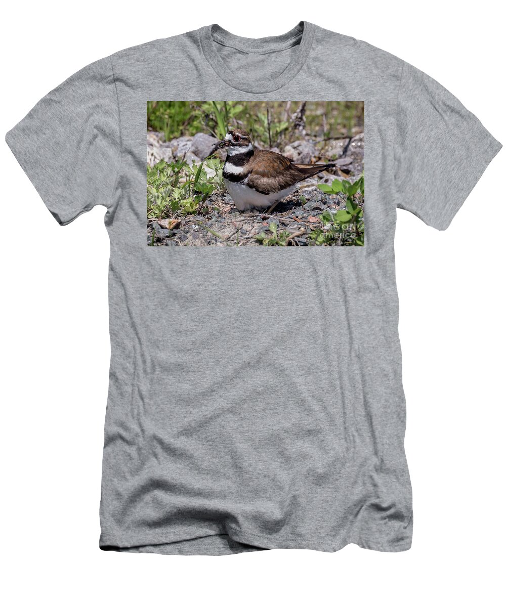 Female T-Shirt featuring the photograph Killdeer on the Nest by Jim Gillen