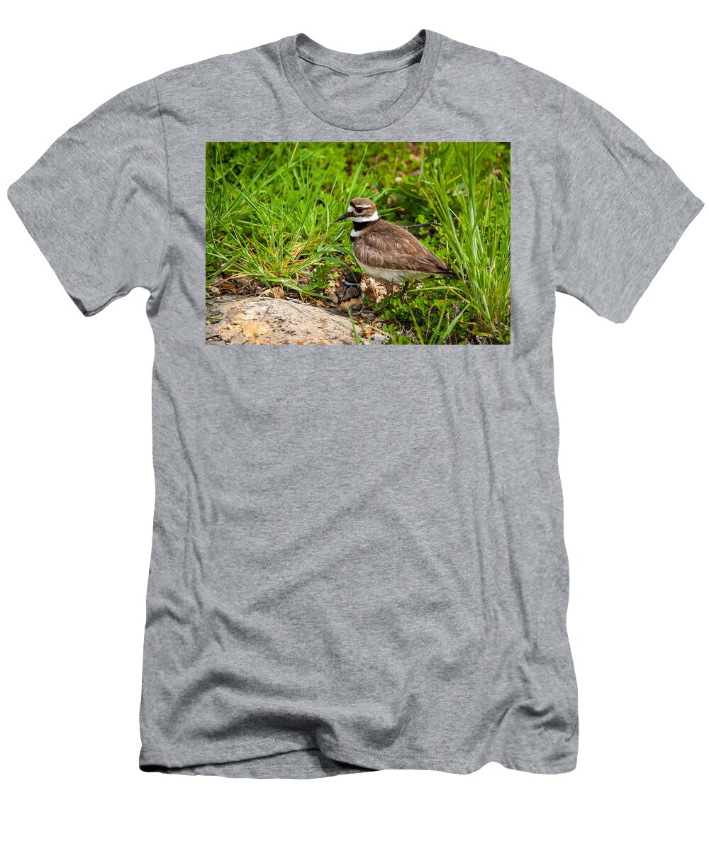 Wildlife T-Shirt featuring the photograph Killdeer with Chick by Jeff Phillippi