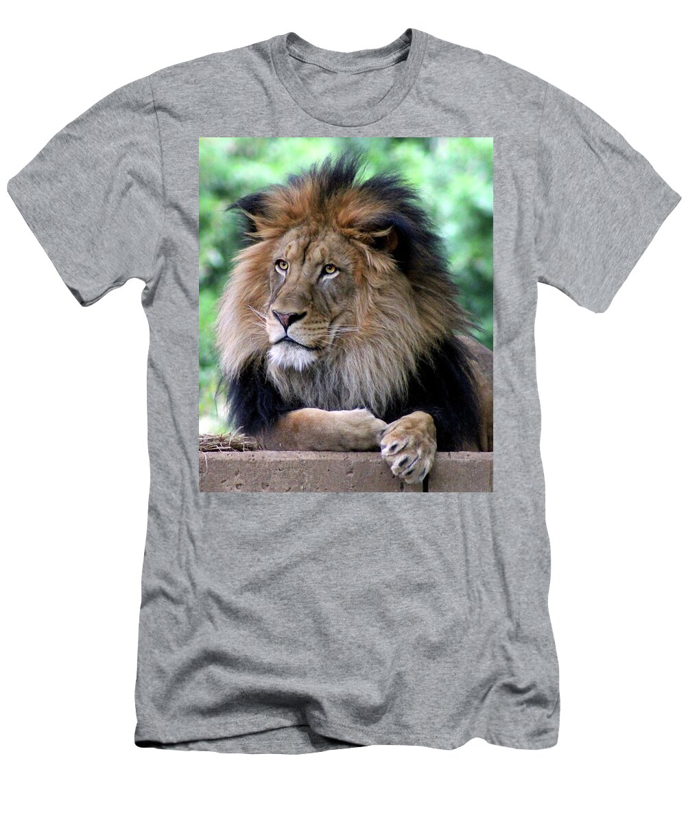 Lion T-Shirt featuring the photograph The King's Portrait by Ronda Ryan