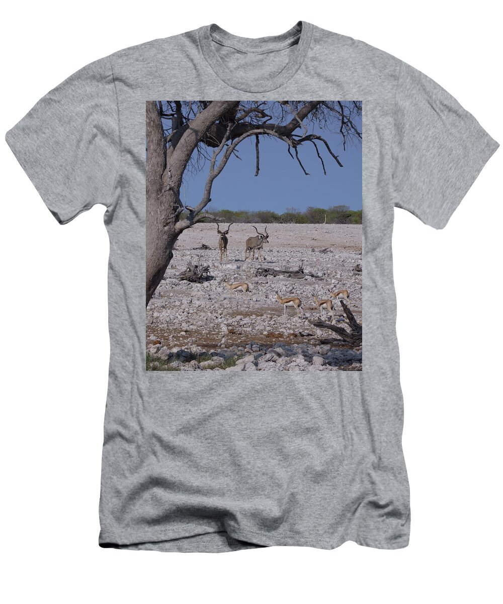 Africa T-Shirt featuring the photograph Kudu and Springbok 2 by Ernest Echols