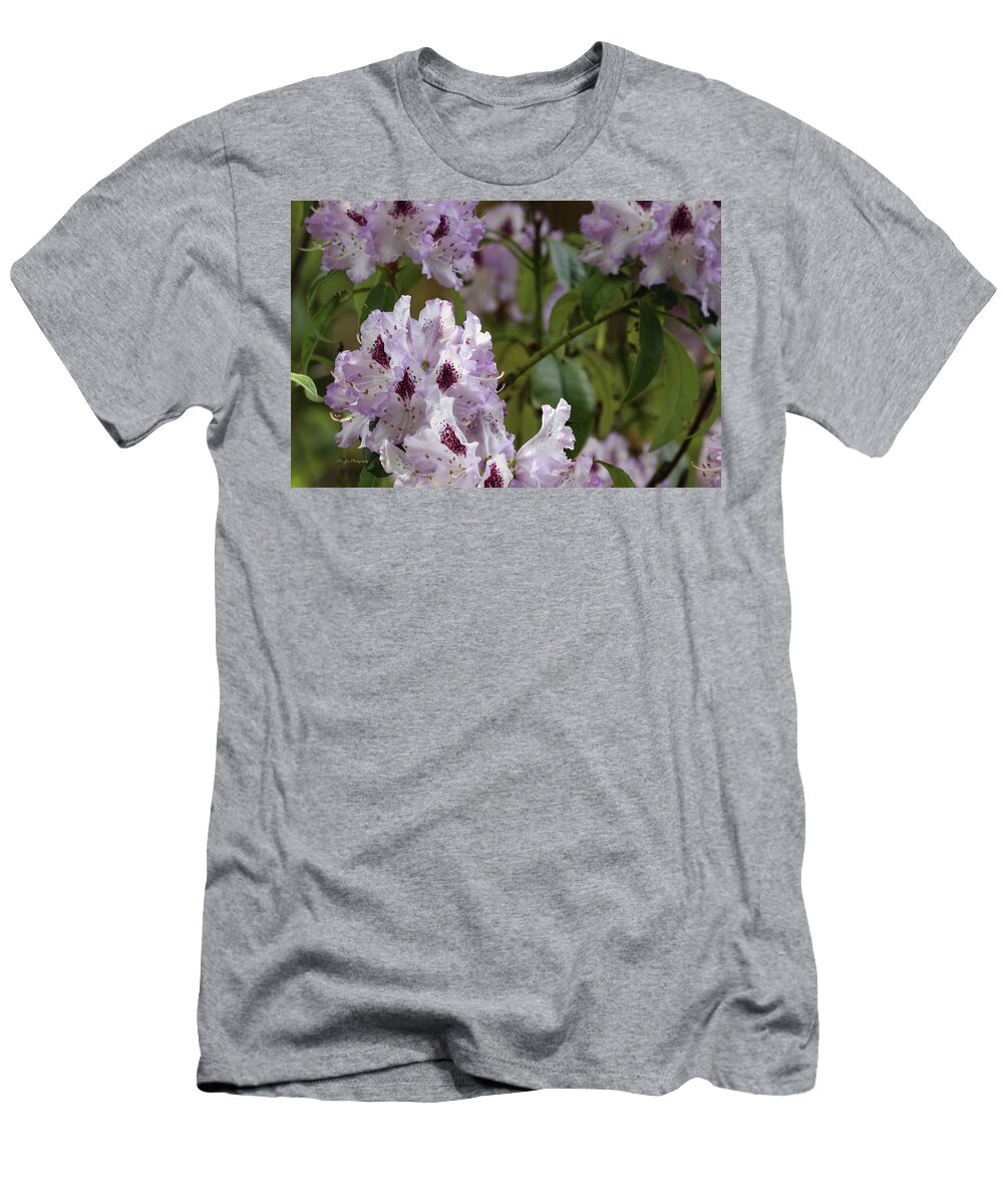 Rhododendron T-Shirt featuring the photograph Lacy Lavender Rhododendrons by Jeanette C Landstrom