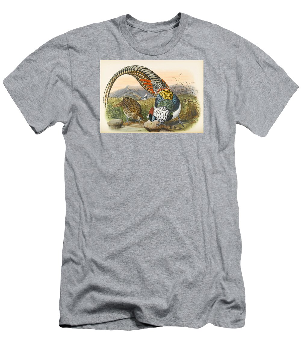 Joseph Wolf T-Shirt featuring the drawing Lady Amherst's pheasant. Chrysolophus amherstiae by Joseph Wolf