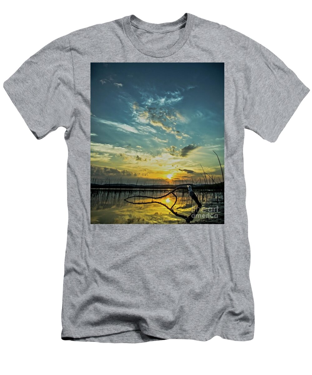 Vermont T-Shirt featuring the photograph Lake Champlain Vermont Sunrise - 2 Portrait by James Aiken