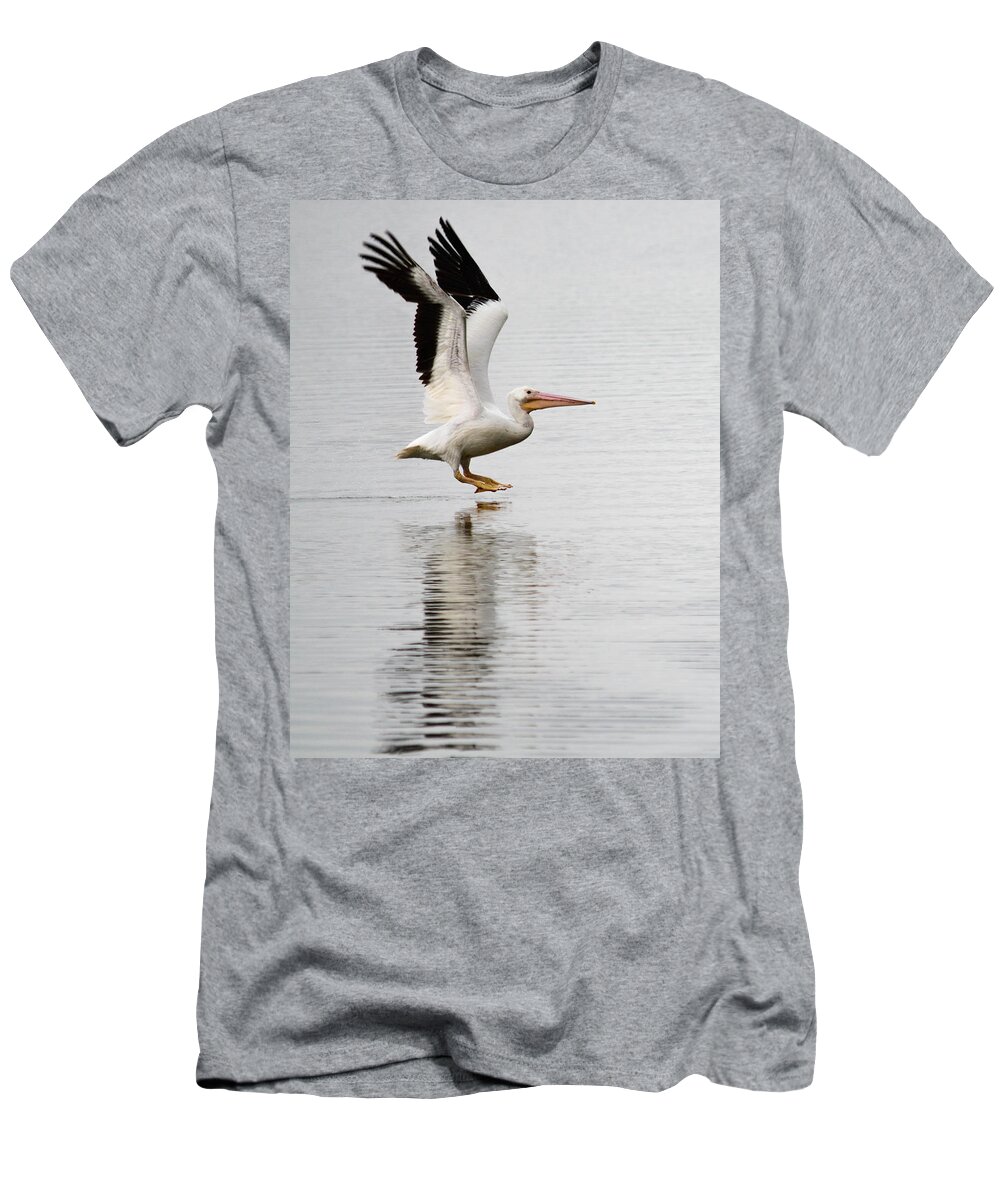 Pelican T-Shirt featuring the photograph Landing by Barry Bohn