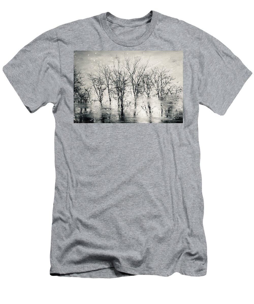 Landscape T-Shirt featuring the photograph Landscape reflection forest by Dimitar Hristov